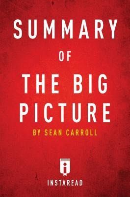 Summary of The Big Picture (eBook, ePUB)