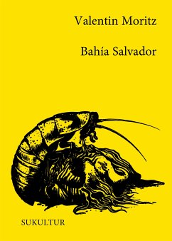 Bahía Salvador (eBook, ePUB) - Moritz, Valentin