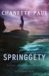 Springgety (eBook, ePUB) - Bild 1
