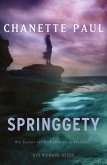 Springgety (eBook, ePUB)