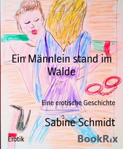 Ein Männlein stand im Walde (eBook, ePUB) - Schmidt, Sabine