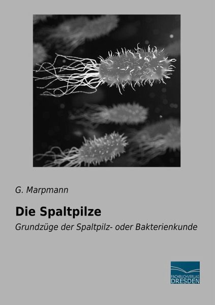 Die Spaltpilze Die Spaltpilze