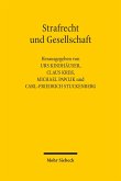 Strafrecht und Gesellschaft (eBook, PDF)