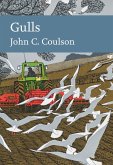 Gulls (eBook, ePUB)