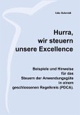 Hurra, wir steuern unsere Excellence (eBook, ePUB)