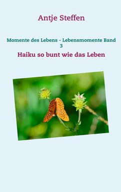 Momente des Lebens - Lebensmomente Band 3 (eBook, ePUB)