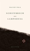 Schiffbruch vor Lampedusa (eBook, ePUB)