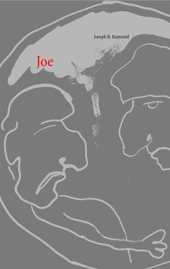 Joe (eBook, ePUB) - Raimond, Joseph B.