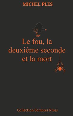 Le fou, la deuxième seconde et la mort (eBook, ePUB) - Ples, Michel