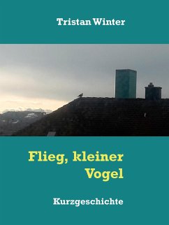 Flieg, kleiner Vogel (eBook, ePUB)