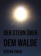 Der Stern über dem Walde (eBook, ePUB) - Bild 1