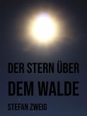 Der Stern über dem Walde (eBook, ePUB) Der Stern über dem Walde (eBook, ePUB)