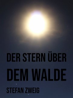 Der Stern über dem Walde (eBook, ePUB)