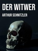 Der Witwer (eBook, ePUB)