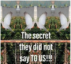 The secret they did not say TO US!!! (eBook, ePUB) Cover The secret they did not say TO US!!! (eBook, ePUB)