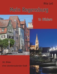 Mein Regensburg (eBook, ePUB)