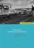 Melioration im Belarussischen Polesien (eBook, PDF)