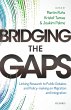 Bridging the Gaps (eBook, ePUB) - Bild 1