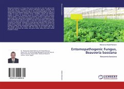 Entomopathogenic Fungus, Beauveria bassiana - Abdel-Raheem, Mohamed