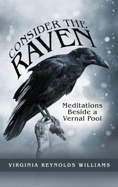 Cover Consider the Raven (eBook, ePUB)