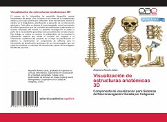 Visualización de estructuras anatómicas 3D - Ravelo Julian, Alejandro