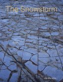 The Snowstorm (eBook, ePUB)