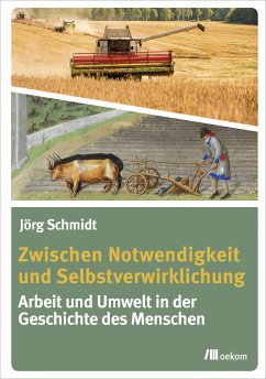 Zwischen Notwendigkeit und Selbstverwirklichung (eBook, PDF) - Schmidt, Jörg