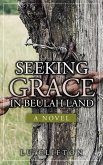 Seeking Grace in Beulah Land (eBook, ePUB)