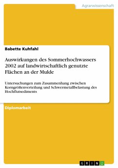 Auswirkungen des Sommerhochwassers 2002 auf landwirtschaftlich genutzte Flächen an der Mulde (eBook, PDF) - Kuhfahl, Babette