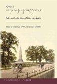 Joyce's Allmaziful Plurabilities (eBook, ePUB)