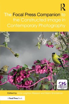 The Focal Press Companion to the Constructed Image in Contemporary Photography (eBook, ePUB)