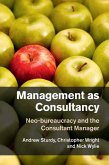 Management as Consultancy (eBook, ePUB)