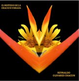 El Misterio de la Oración Vibrada (Serie Soluciones, #1) (eBook, ePUB)