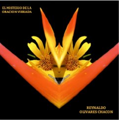 El Misterio de la Oración Vibrada (Serie Soluciones, #1) (eBook, ePUB) Cover El Misterio de la Oración Vibrada (Serie Soluciones, #1) (eBook, ePUB)