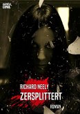 ZERSPLITTERT (eBook, ePUB)