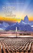 Birds Sing Before Sunrise (eBook, ePUB) - Bild 1