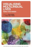 Visualising Multilingual Lives (eBook, ePUB)