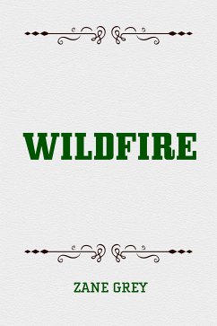 Wildfire (eBook, ePUB) - Grey, Zane