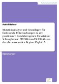 Mutationsanalyse und Grundlagen für funktionale Untersuchungen zu den positionalen Kandidatengenen für katatone Schizophrenie, EIF2AK4 und SLC12A6, aus der chromosomalen Region 15q14-15 (eBook, PDF)
