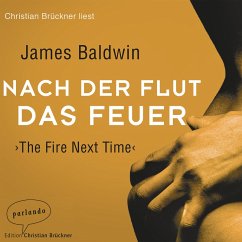 Nach der Flut das Feuer (MP3-Download) - Baldwin, James