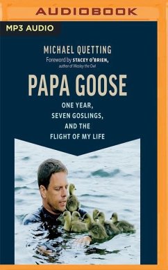 Papa Goose: One Year, Seven Goslings, and the Flight of My Life - Quetting, Michael