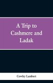 A Trip to Cashmere and Ladak