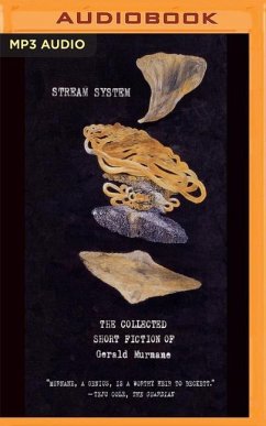 Stream System: The Collected Short Fiction of Gerald Murnane - Murnane, Gerald