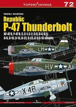 Republic P-47 Thunderbolt - Noszczak, Maciej