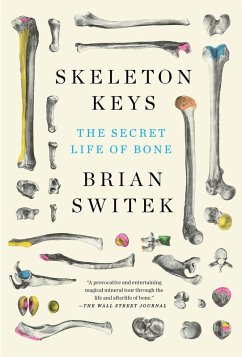Skeleton Keys (eBook, ePUB) - Black (Brian Switek), Riley