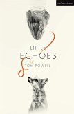 Little Echoes (eBook, ePUB)