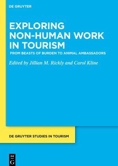 Cover Exploring non-human work in tourism