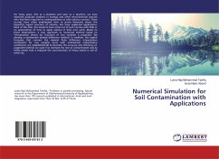 Numerical Simulation for Soil Contamination with Applications