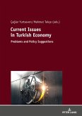 Current Issues in Turkish Economics