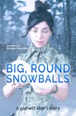 Big, Round Snowballs: A GameLit Story (Deimos Çelik) (eBook, ePUB)